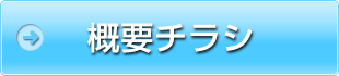 概要チラシ