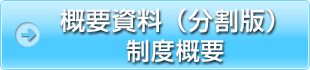 概要資料（分割版）制度概要