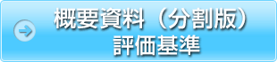概要資料（分割版）評価基準